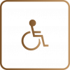 icone-deficiente